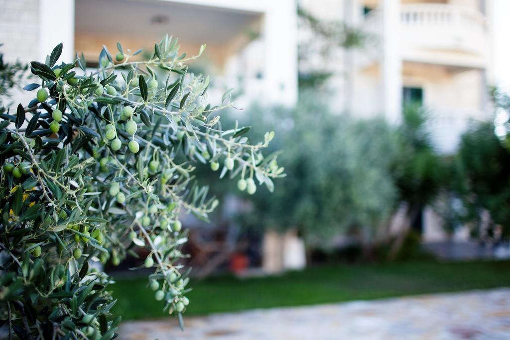 Apartments Villa Barbara Sumartin Exterior photo